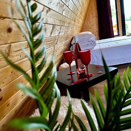 Capu Cîmpului A-Frame Bucovina- Paradis Bucovinean المظهر الخارجي الصورة